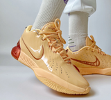  Giày Nike LeBron 21 ‘Melo Melo’ 