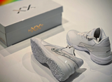  Giày Nike Lebron NXXT Gen Ampd ‘White Silver’ 