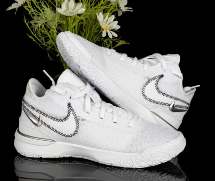  Giày Nike LeBron NXXT Gen EP ‘White Metallic Silver’ 