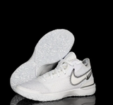  Giày Nike LeBron NXXT Gen EP ‘White Metallic Silver’ 
