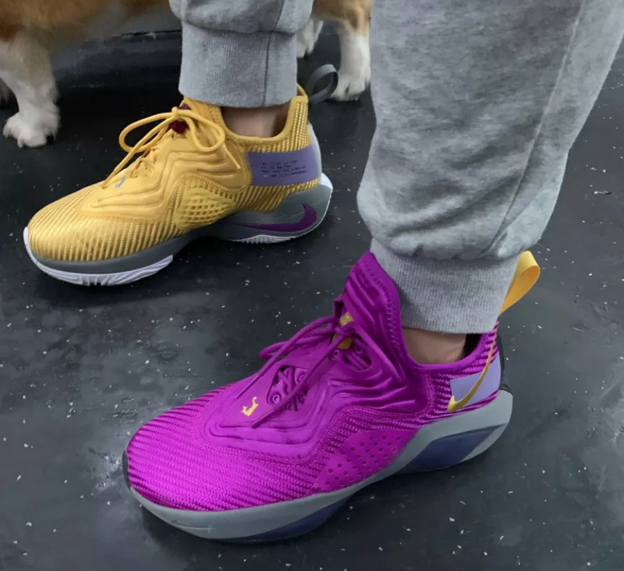  Giày Nike LeBron Soldier 14 ‘Lakers’ 