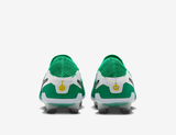  Giày Nike Tiempo Legend 10 Elite FG ‘Fear Nothing Pack’ 