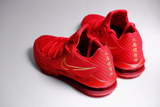  Giày Nike Titan x LeBron 17 Low EP ‘Agimat’ 