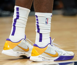  Giày Nike Zoom Kobe 5 ‘Lakers Home’ 