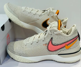  Giày Nike Zoom Lebron Nxxt Gen EP ‘Da Vinci’ 
