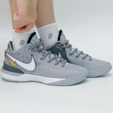  Giày Nike Zoom Lebron Nxxt Gen EP ‘ Grey Gold’ 