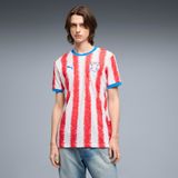  Áo Puma Paraguay Home Jersey 