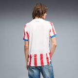  Áo Puma Paraguay Home Jersey 