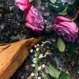  Nước Hoa Louis Vuitton eLVes EDP 