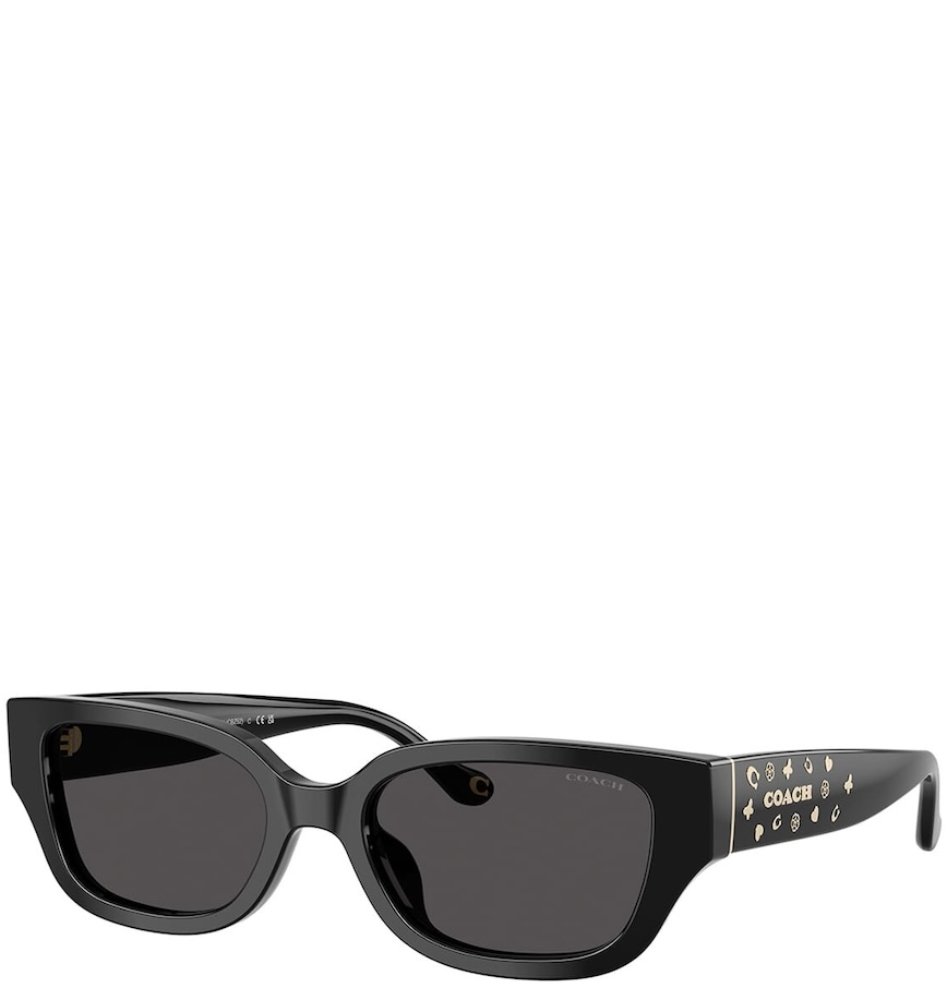  Kính Coach Sunglasses 'Black' 