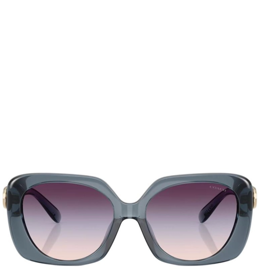  Kính Coach Sunglasses 'Grey' 