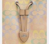  Túi Nữ Coach Rowan Bucket Bag 'Rainbow' 