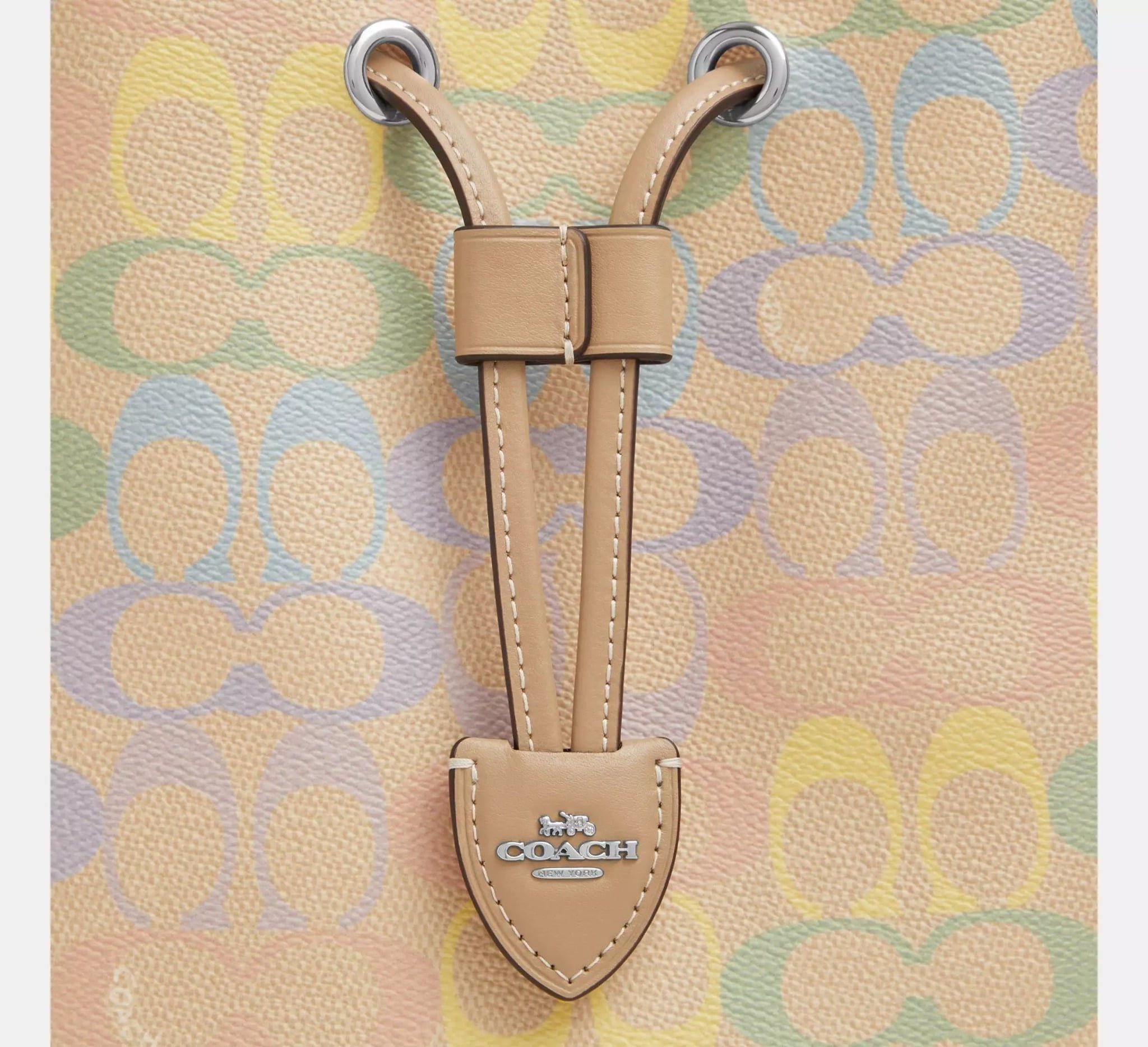  Túi Nữ Coach Rowan Bucket Bag 'Rainbow' 