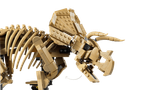 Mô Hình Lego Dinosaur Fossils: Triceratops 