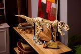  Mô Hình Lego Dinosaur Fossils: Tyrannosaurus rex 