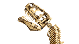  Mô Hình Lego Dinosaur Fossils: Tyrannosaurus rex 