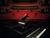  Mô Hình Lego Grand Piano 