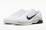  Giày Nam Nike Court Air Zoom Vapor 12 HC 'White' 