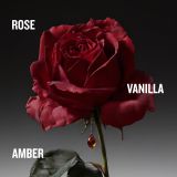 Nước Hoa Penhaligon's The Coveted Duchess Rose Intense EDP 