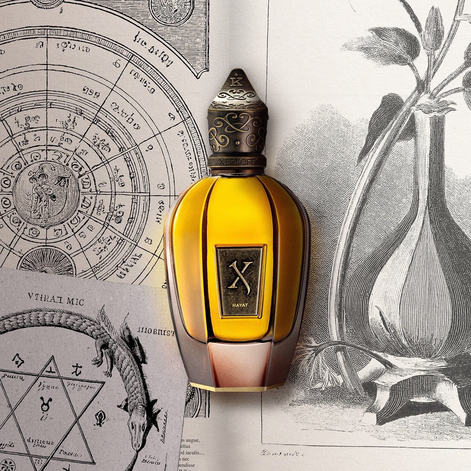  Nước Hoa Xerjoff Hayat EDP 