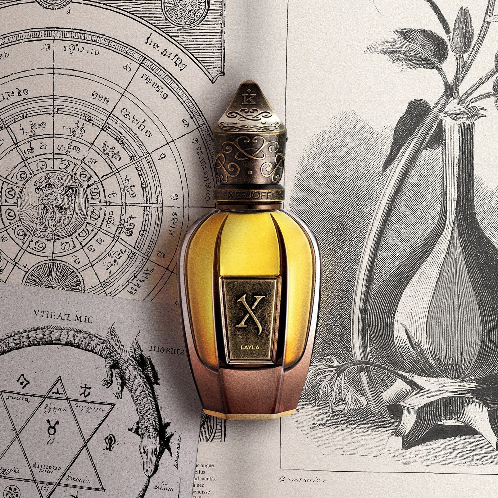  Nước Hoa Xerjoff Layla EDP 