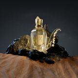  Nước Hoa Xerjoff Lua EDP 