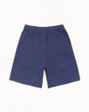  Quần Stussy Jersey Short 'Blue' 