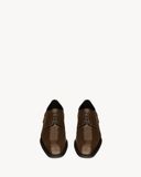  Giày Nam Saint Laurent Stanton Derbies 'Brown' 