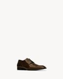  Giày Nam Saint Laurent Stanton Derbies 'Brown' 
