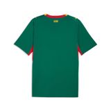  Áo Puma Senegal 2026 Away Jersey 
