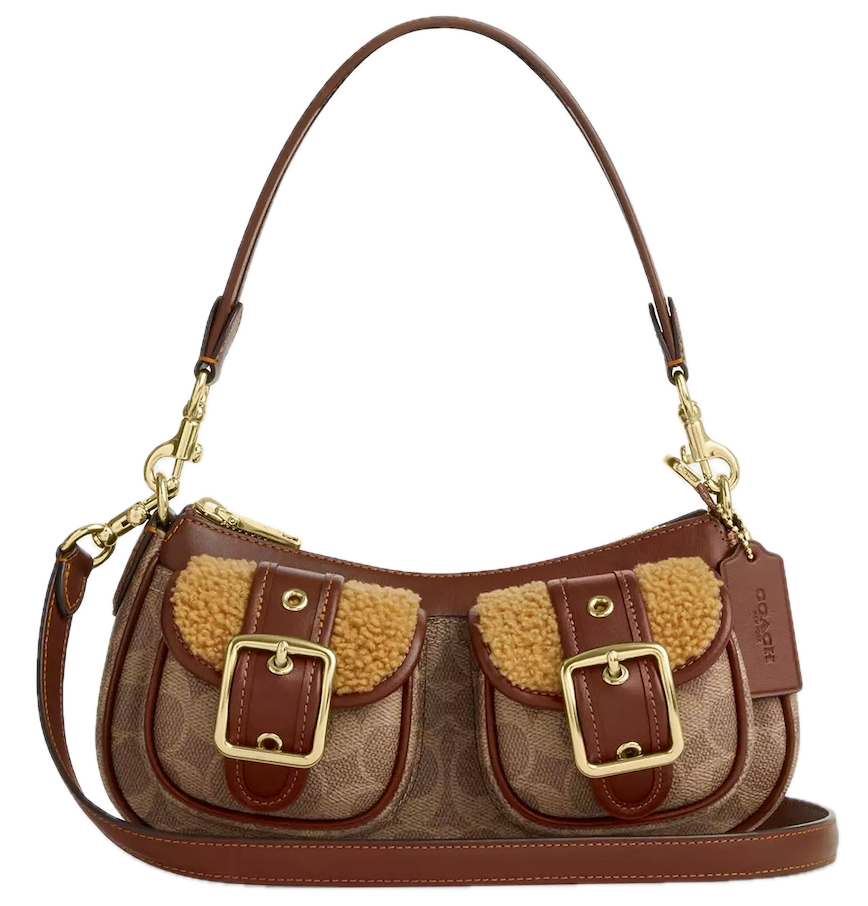  Túi Nữ Coach Ashton Bag 'Brown' 