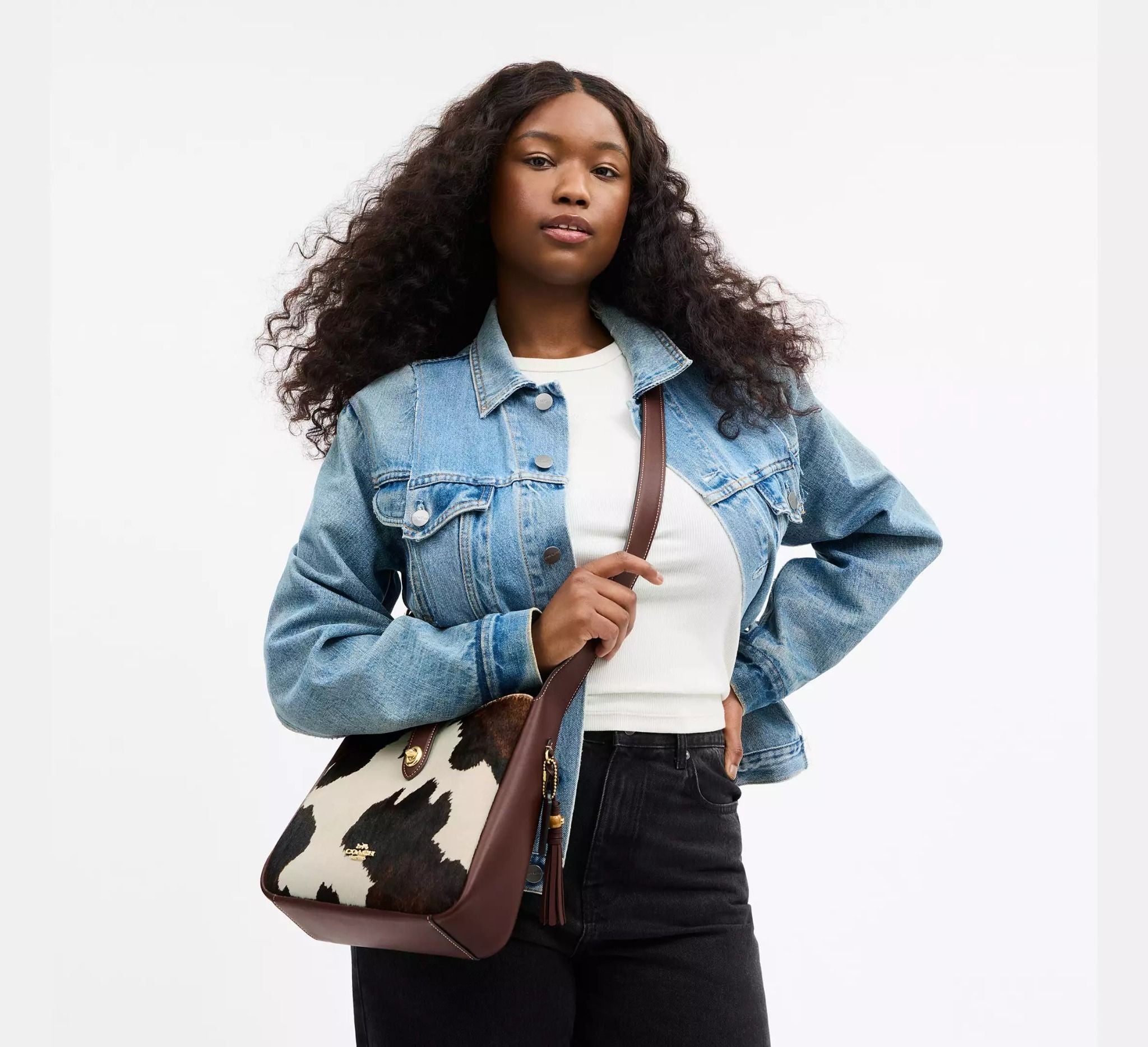  Túi Nữ Coach Hadley Convertible Crossbody Bag 'Multicolor' 