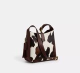  Túi Nữ Coach Hadley Convertible Crossbody Bag 'Multicolor' 