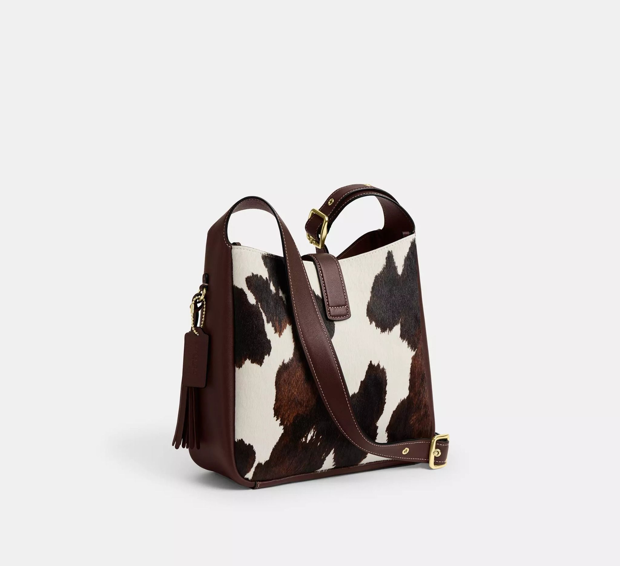  Túi Nữ Coach Hadley Convertible Crossbody Bag 'Multicolor' 