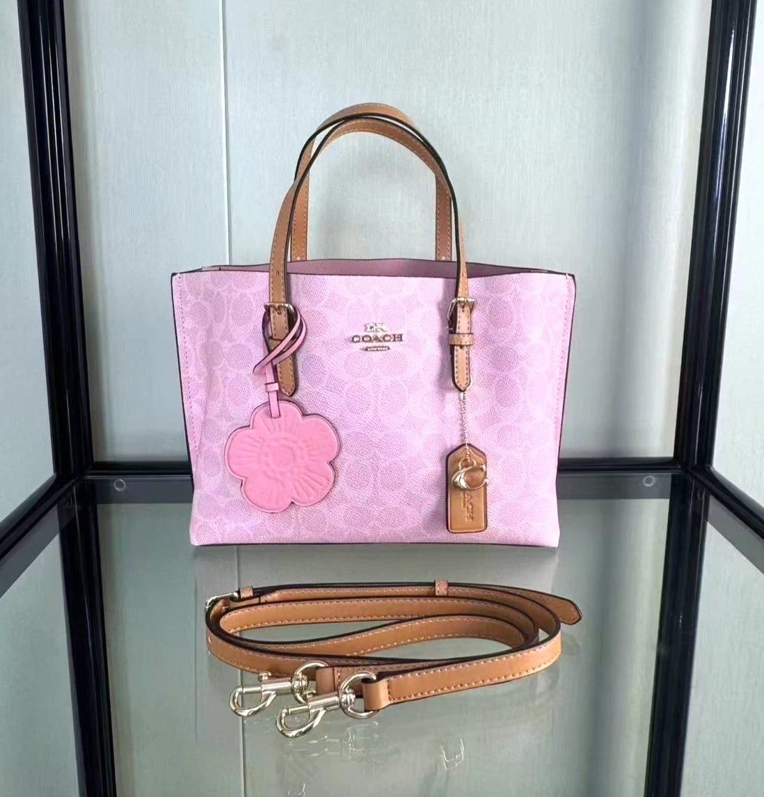  Túi Nữ Coach Mollie 25 Bag 'Pink' 