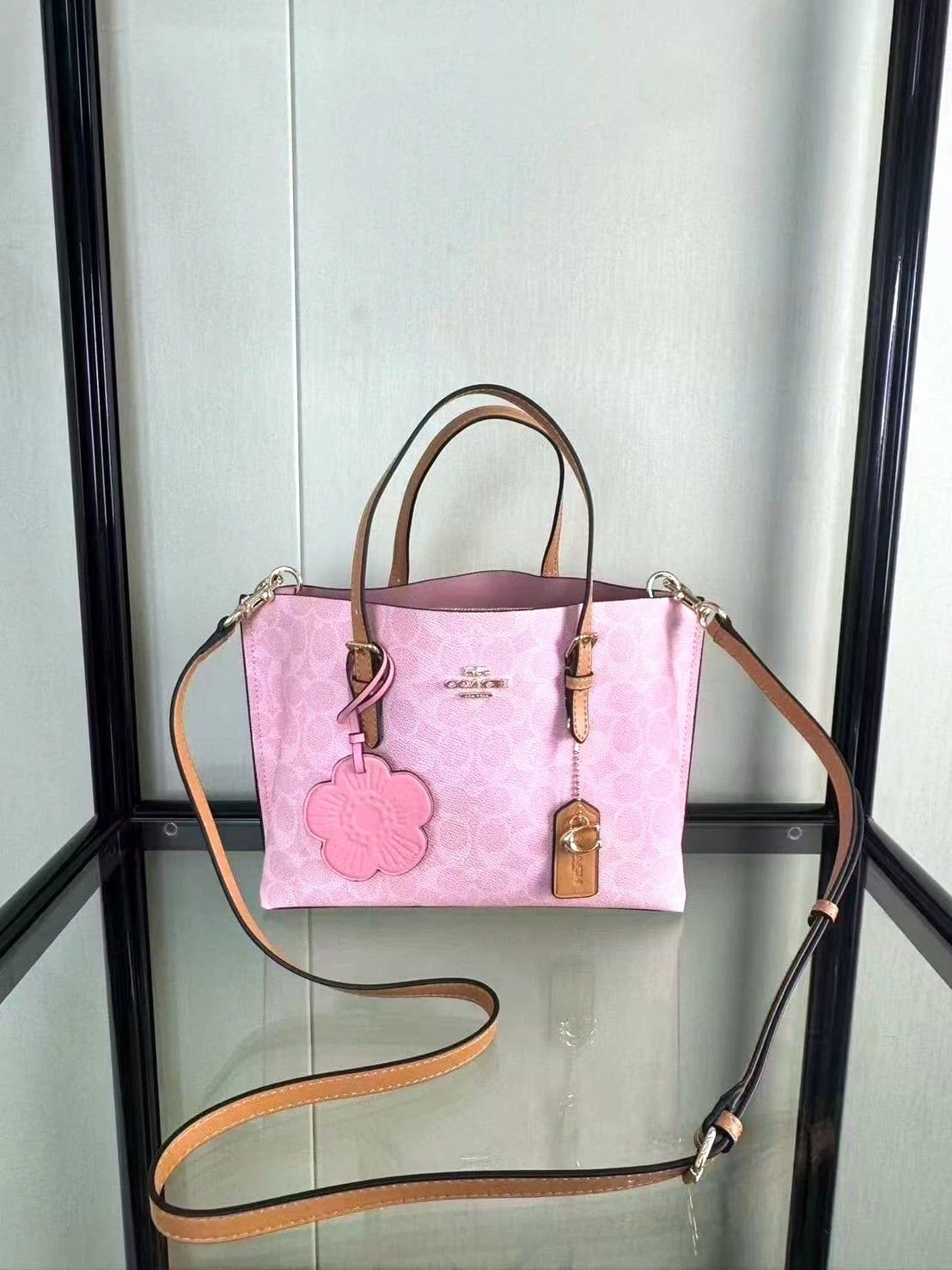  Túi Nữ Coach Mollie 25 Bag 'Pink' 