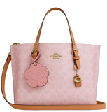  Túi Nữ Coach Mollie 25 Bag 'Pink' 