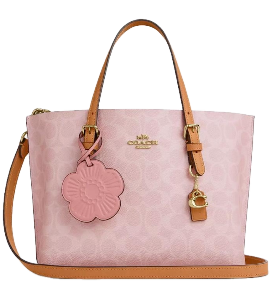  Túi Nữ Coach Mollie 25 Bag 'Pink' 