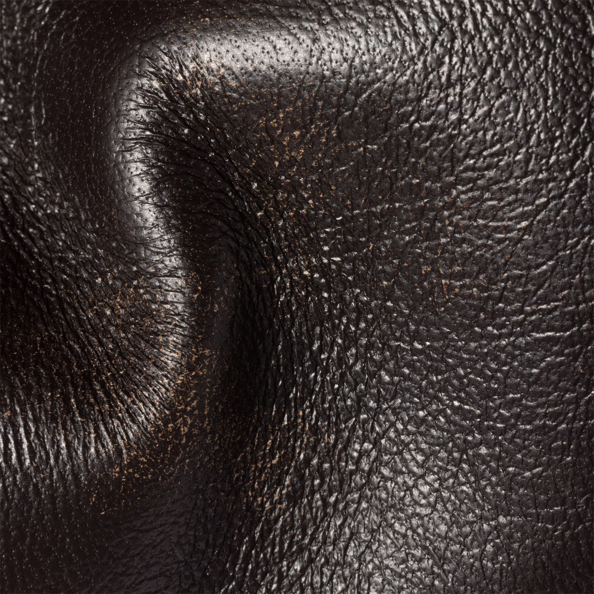  Túi Nữ Miu Miu Nappa Leather Pouch 'Coffee' 