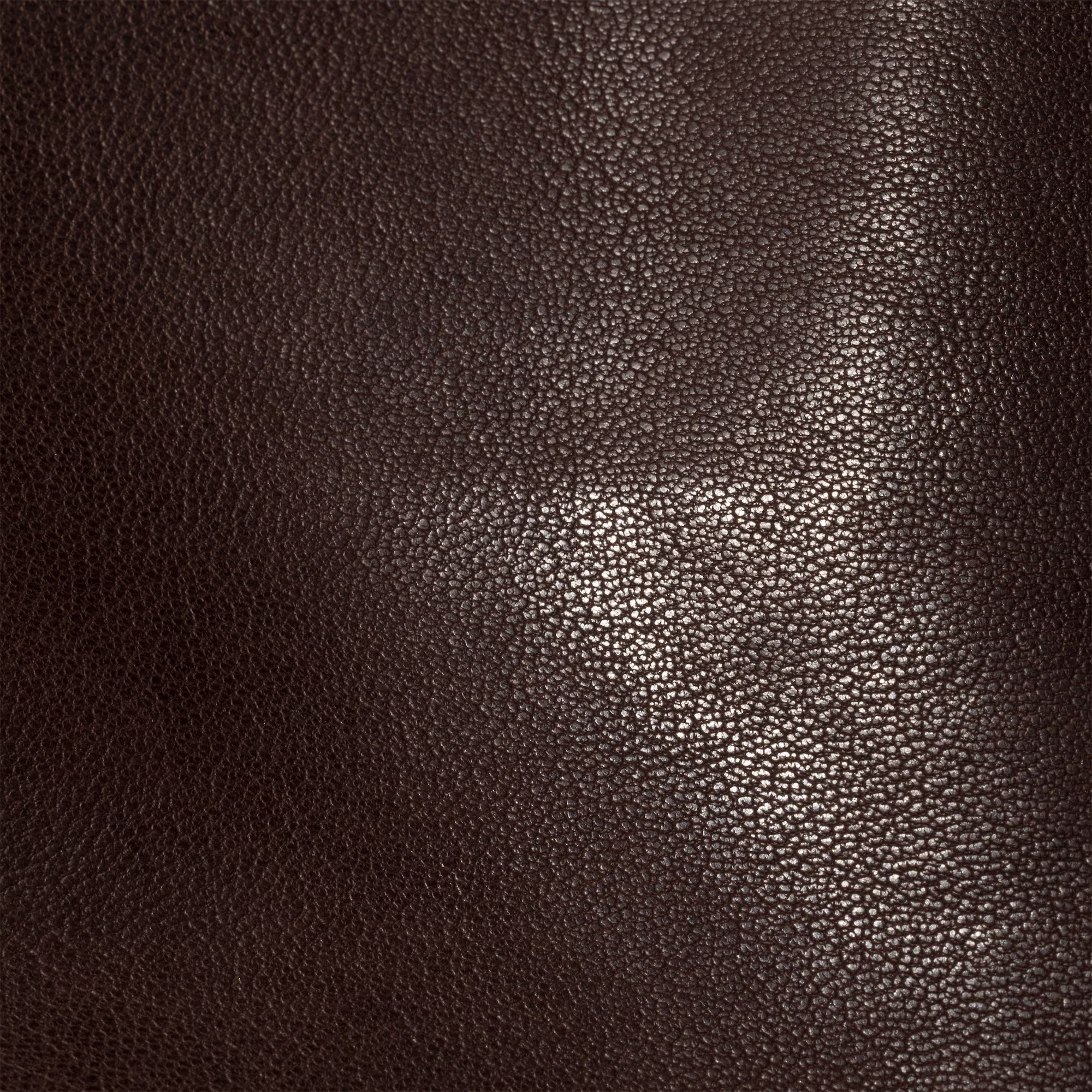  Túi Nữ Miu Miu Nappa Leather Pouch 'Sienna' 