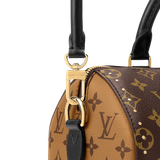  Túi Nữ Louis Vuitton Speedy 25 Trunk Bag 'Brown' 