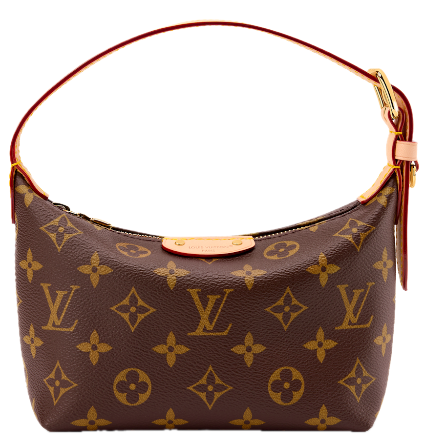  Túi Nữ Louis Vuitton Hills Pochette Bag 'Brown' 