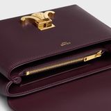  Túi Nữ Celine Teen Nino Bag 'Deep Burgundy' 