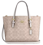  Túi Nữ Coach Mollie Tote Bag 25 'Chalk' 