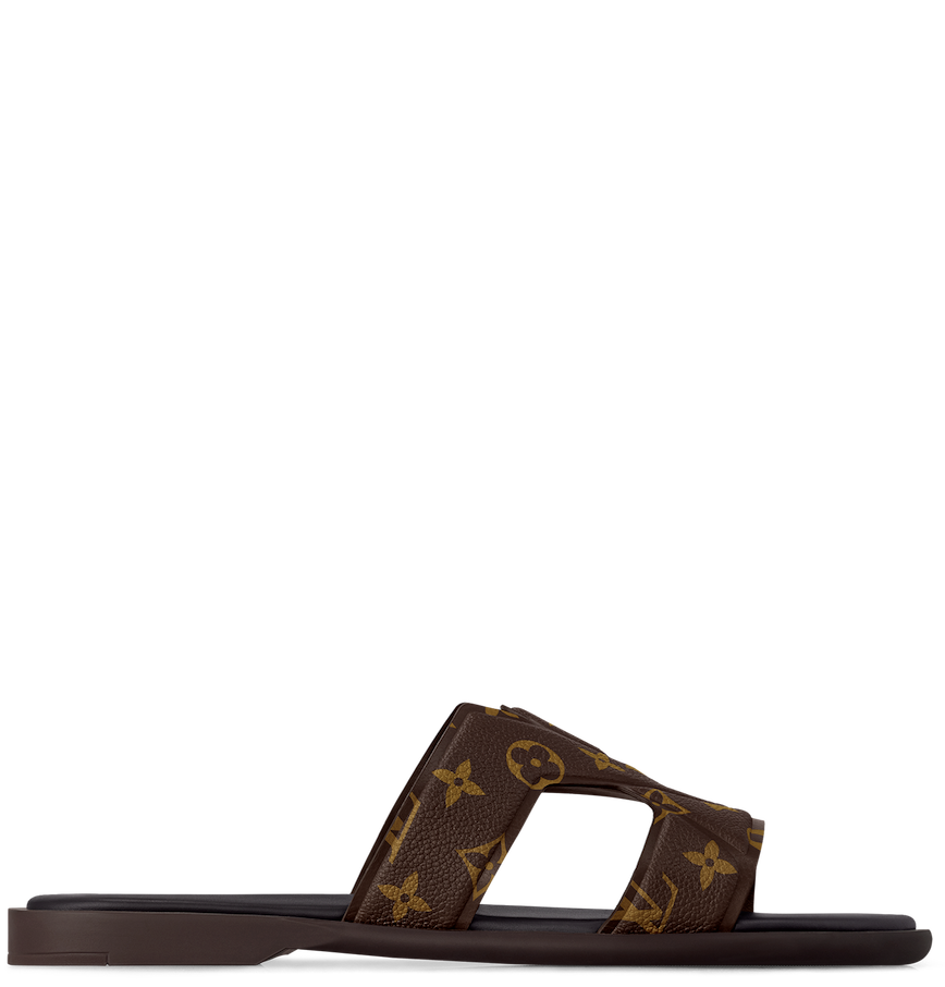  Dép Nam Louis Vuitton LV Oasis Mule 'Brown' 