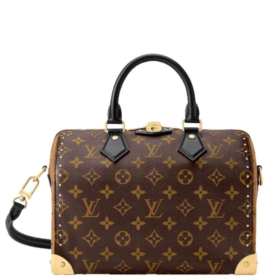  Túi Nữ Louis Vuitton Speedy 25 Trunk Bag 'Brown' 