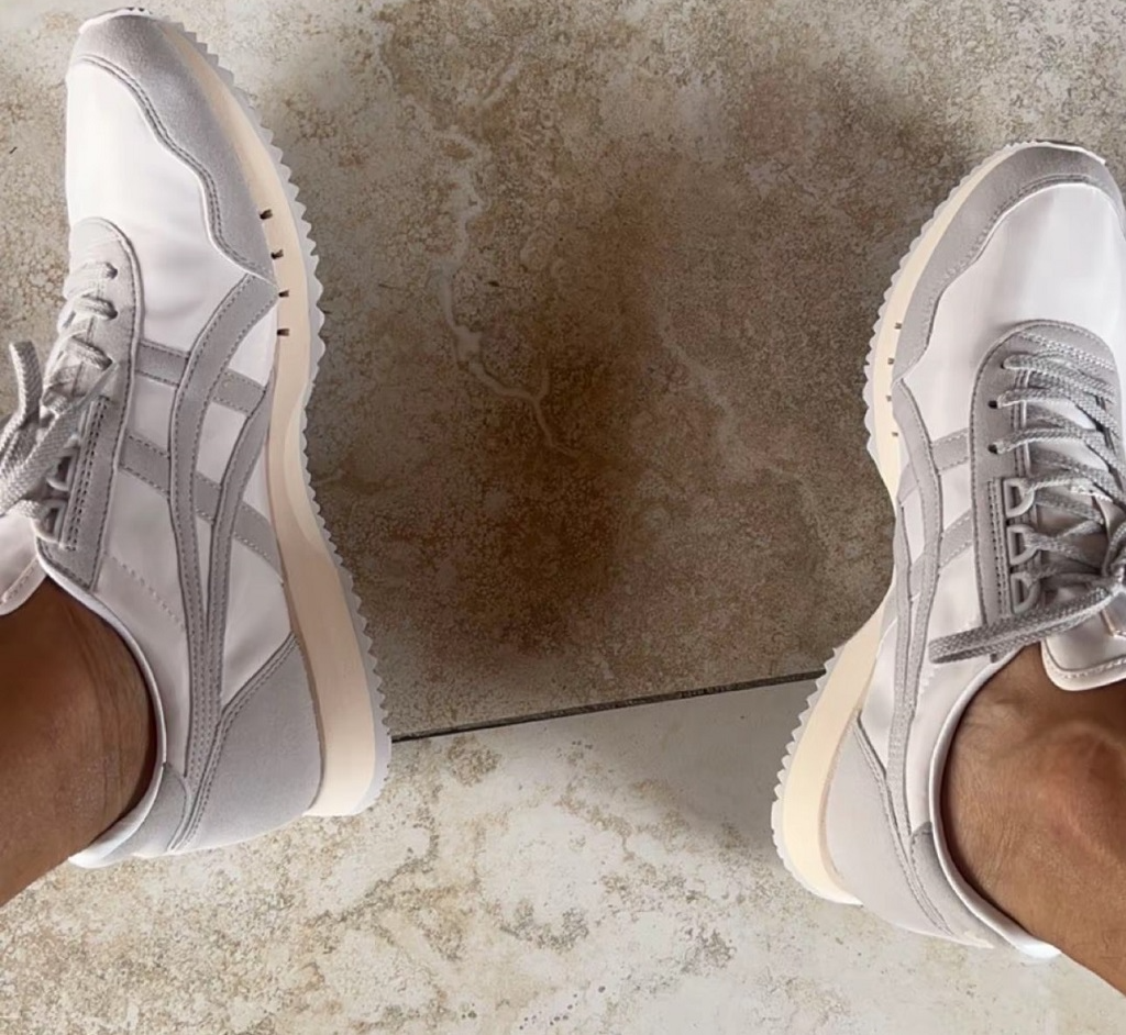  Giày Nam Onitsuka Tiger Dualio 'White Grey' 