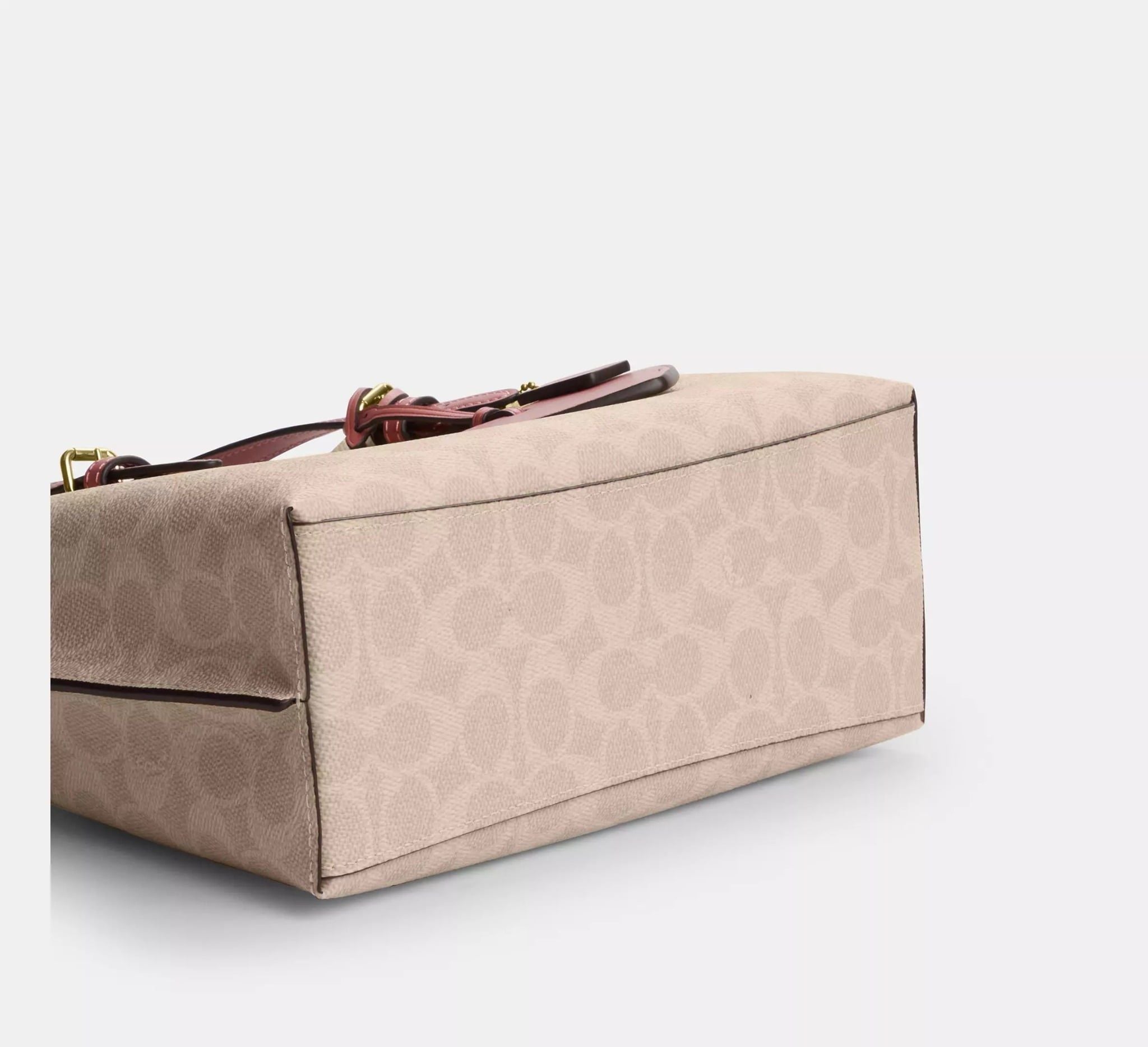  Túi Nữ Coach Mollie Tote Bag 25 'Sand Peony' 