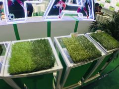 Thảm Cỏ Số