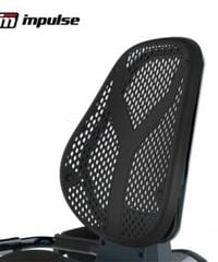 Recumbent Bike